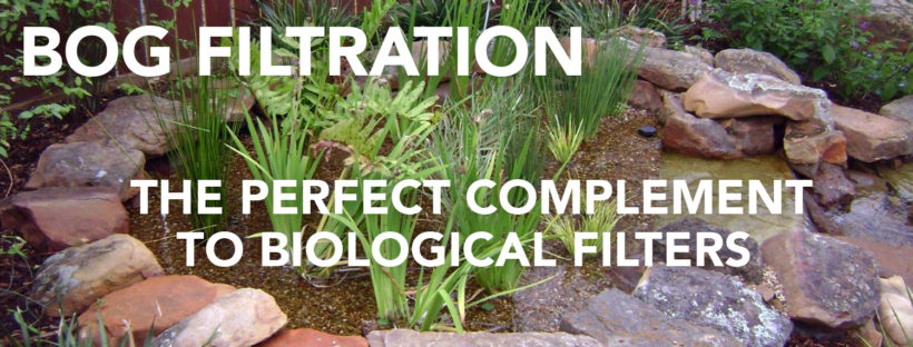 Bog Filtration, the perfect complement to Biological Filters