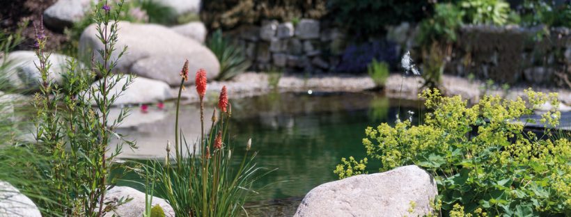 Next Generation in Pumps for Ponds, Pond-free, Hardscape & Fountains