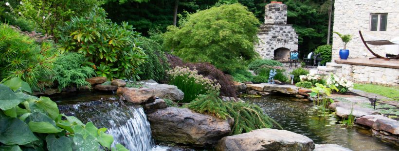 8 Water Features to Give Your Dad for Father’s Day This Year