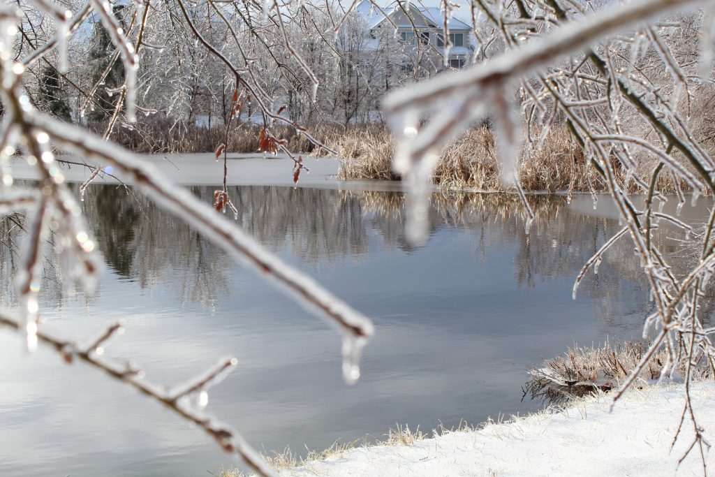 Frozen pond in the winter