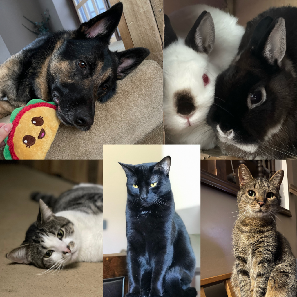 collage picture of a German Shepard, two bunnies and three cats