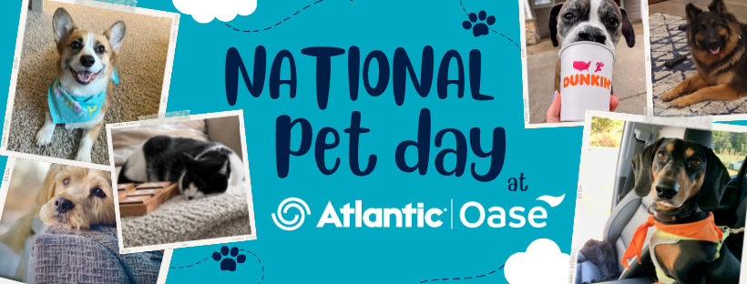 National Pet Day at Atlantic-Oase