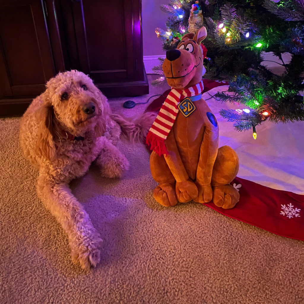 golden doodle dog sitting next to a stuffed Scooby Doo